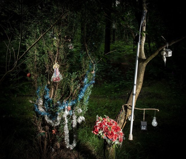 Forêt de Bretagne. La Tombe à Lénard, bois de la Borne