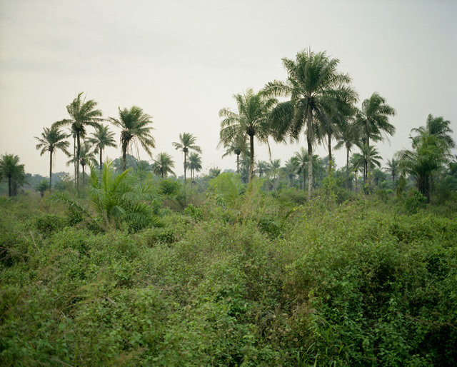 0131_img393 copie.jpg