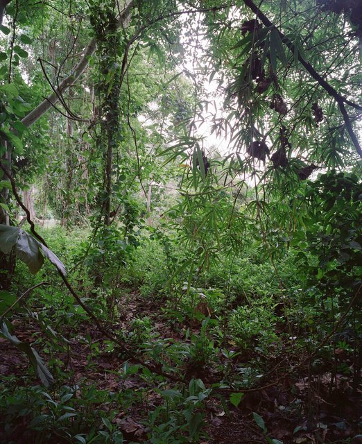 EGUNPC02.jpg
