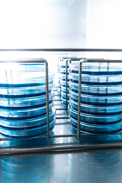 Laboratoire d'analyses