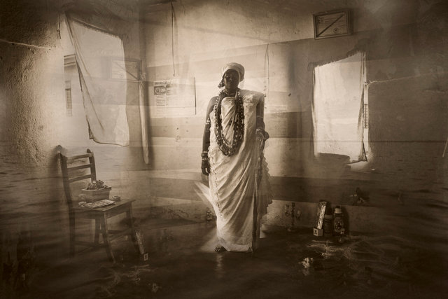 Le chien qui boit le thé