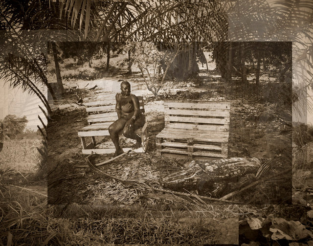 FAWL 67 59x75cm.jpg