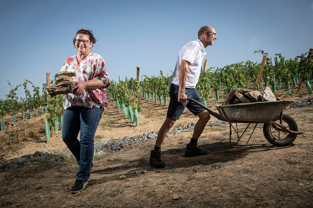 Vins, Domaine Bodineau en Anjou pour Le Point