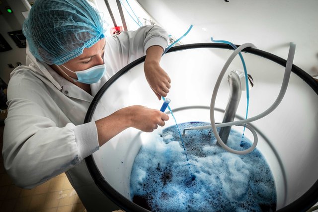 Algosource, production de microalgues pour REA