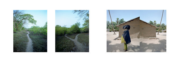 0023_19 Baga Nimba Mask Guinea.jpg