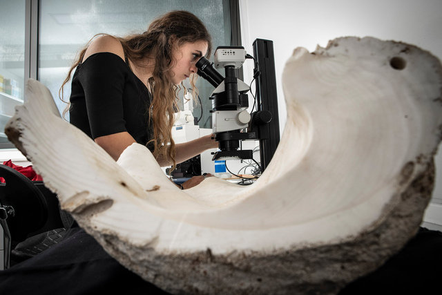 Laboratoire du CNRS