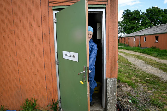 Véterinaire dans un élevage