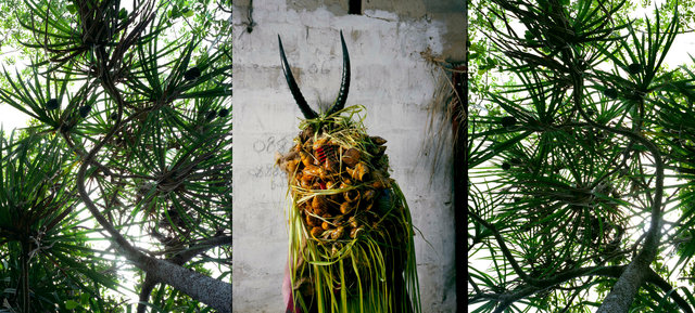 Sierra Devils - Godrich 02