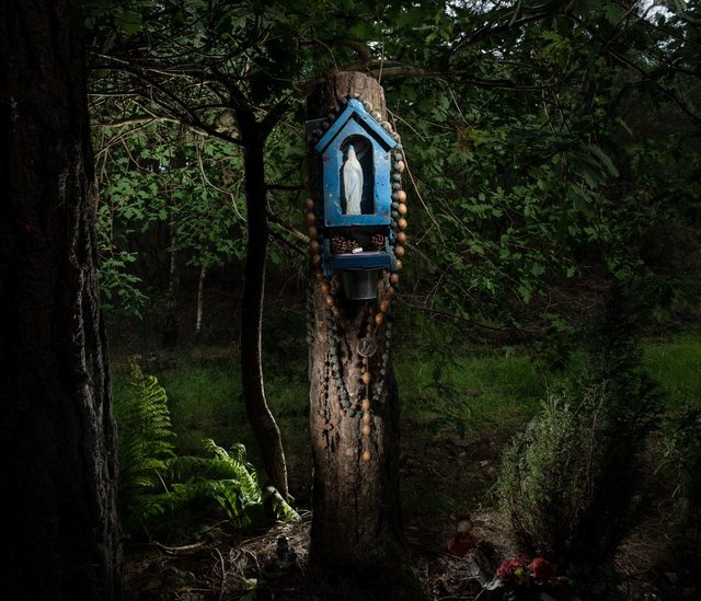 Forêt de Bretagne. La Tombe à Lénard, bois de la Borne