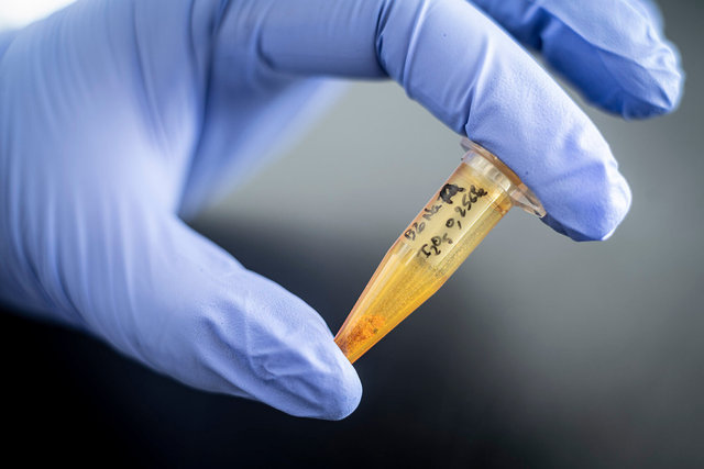 CNRS-Osuna-E55.jpg