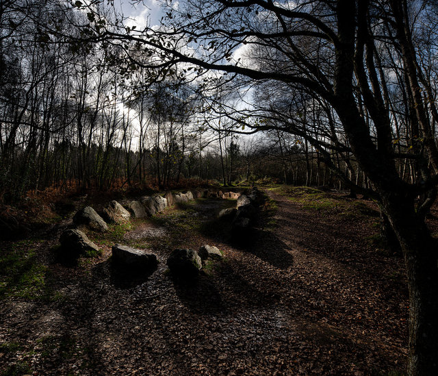 Forêt de brocéliande. Le Jardin aux moines