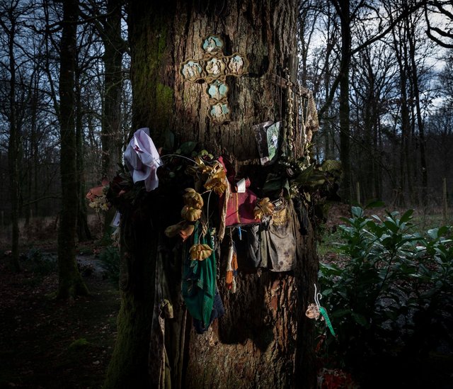 Tombe à  la Fille, forêt de Teillay