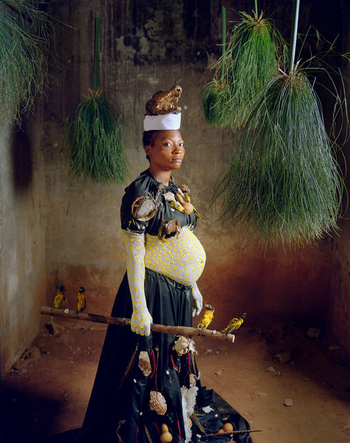 Iyami Osoronga (2024)