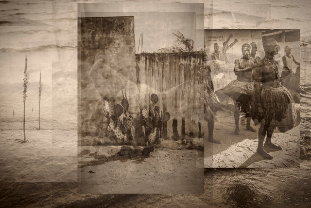 Le chien qui boit le thé