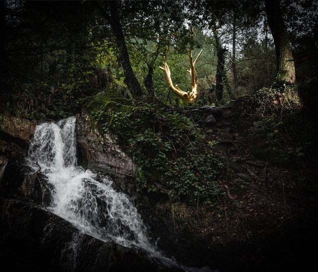 Forêt de brocéliande. Le val sans retour.