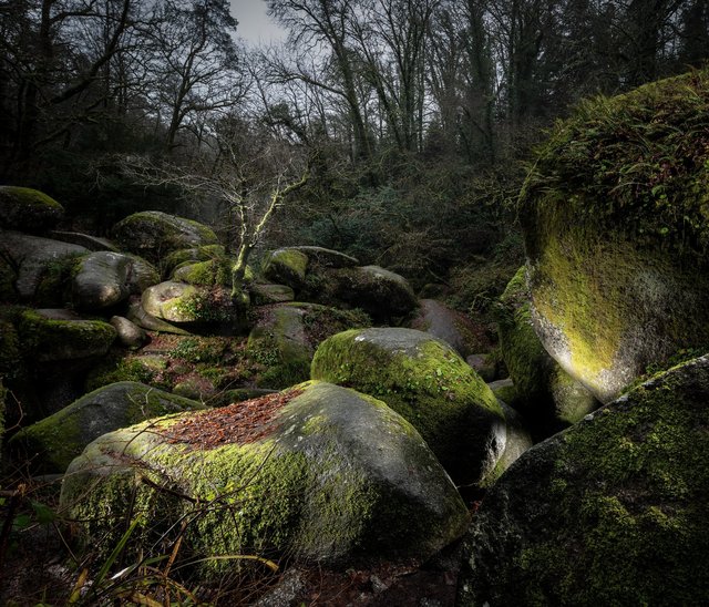 Forêt de Bretagne, Huelgoat