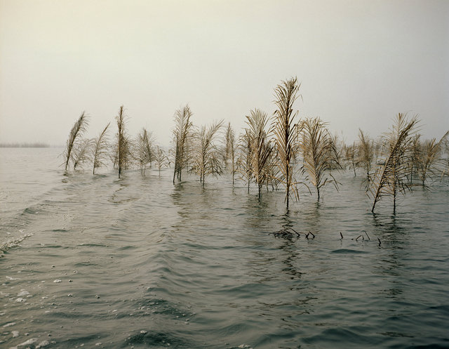 img-5.jpg