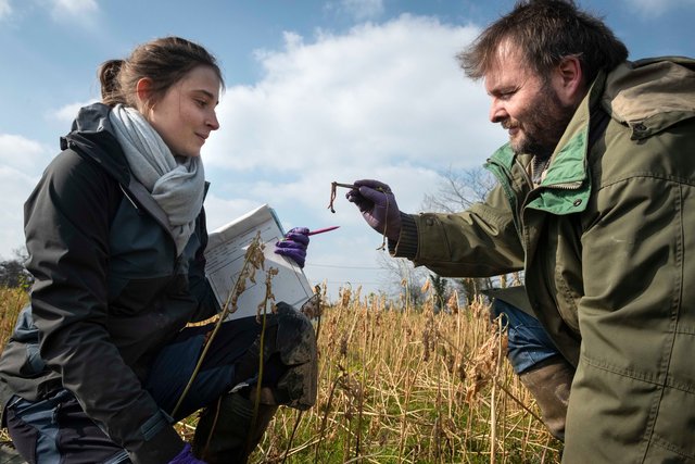 Biodiversité, laboratoire Ecobio pour le CNRS