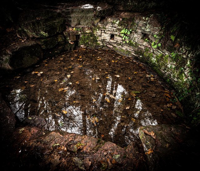 Forêt de brocéliande. La fontaine de jouvence