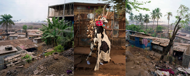 Sierra Devils - Kroo bay 01