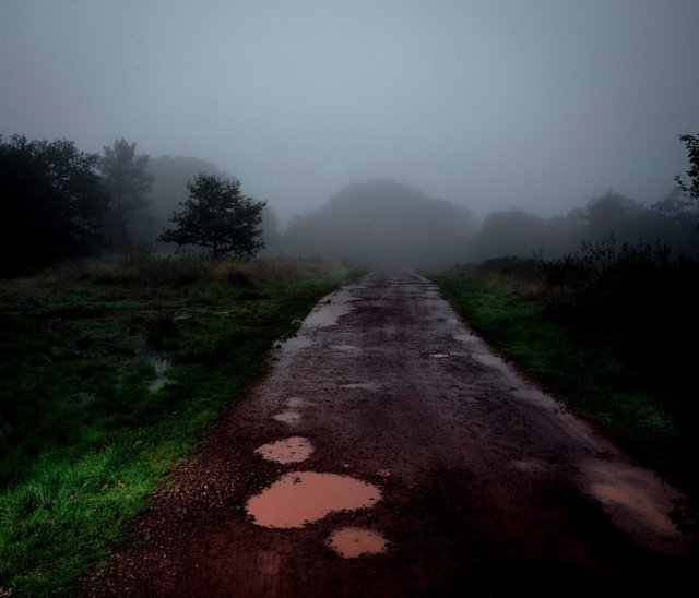 Forêt de Bretagne, Brocéliande. Sur le chemin du Val sans retour, les Landes de Gurwant