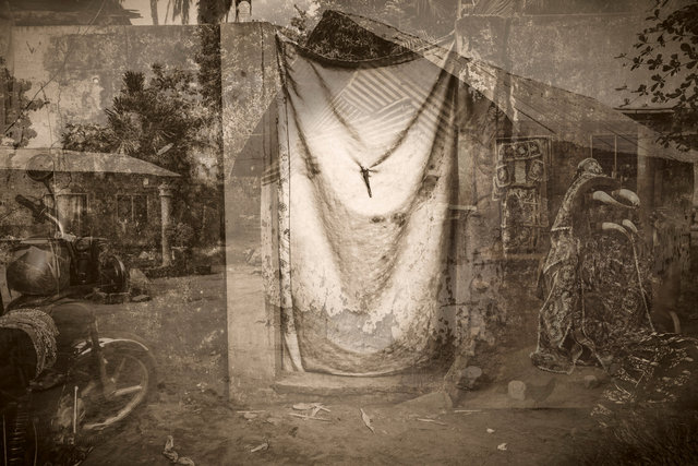 Le chien qui boit le thé