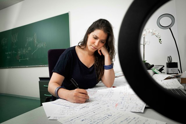 "Talents" du CNRS