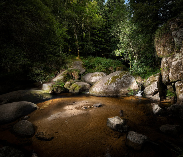 Forêt de Huelgoat, la mare aux sangliers