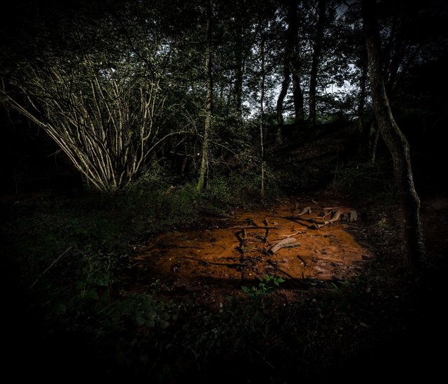 Forêt de brocéliande. Le val sans retour.