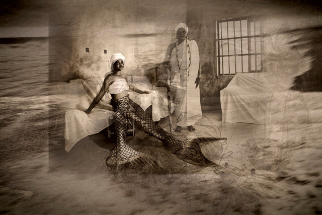 Le chien qui boit le thé