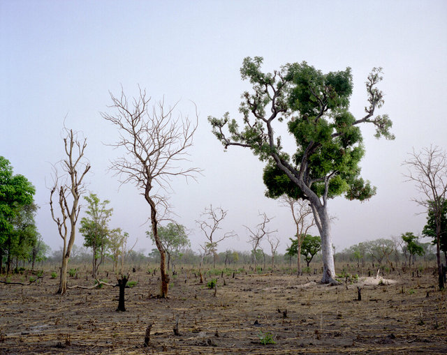 0034_web sup Volta Noire001.jpg