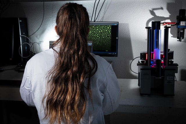 Chimie, pour le CNRS. Etude du pouvoir moussant d'aditifs pour shampoing