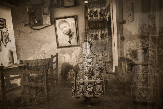 Le chien qui boit le thé