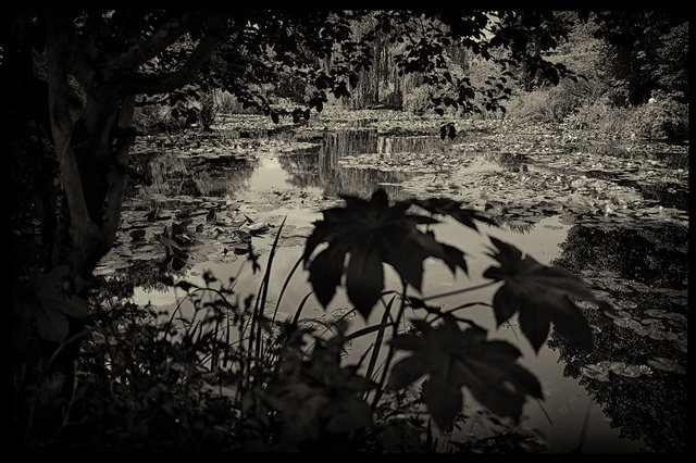 Giverny_France_Monet's_garden_L1030198_WEB.jpg