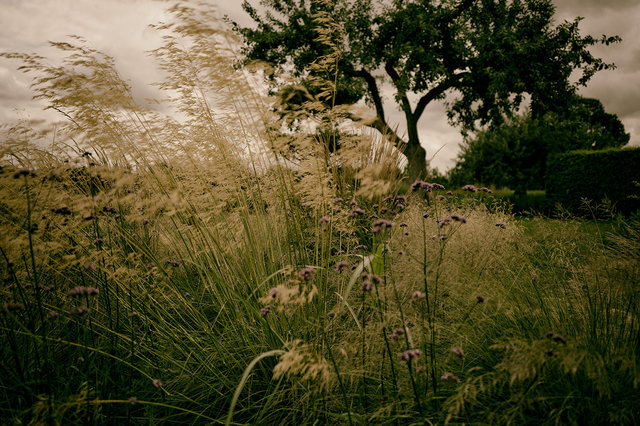 Jardin_Plume_Auzouville_L1030119_WEB.jpg