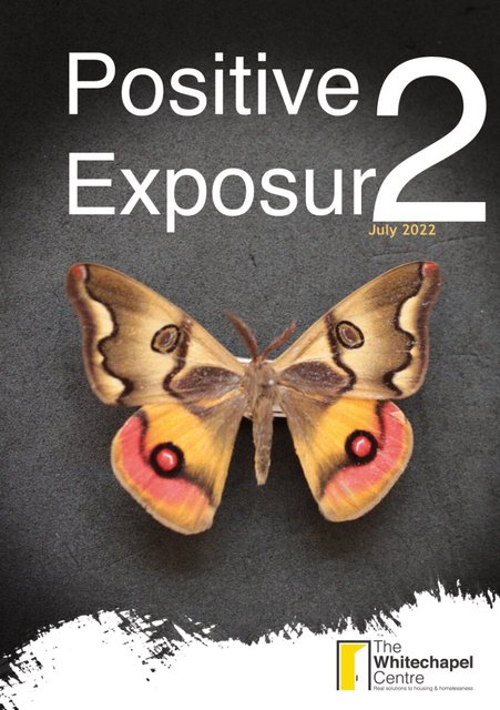 Positive Exposure 2 (2022)