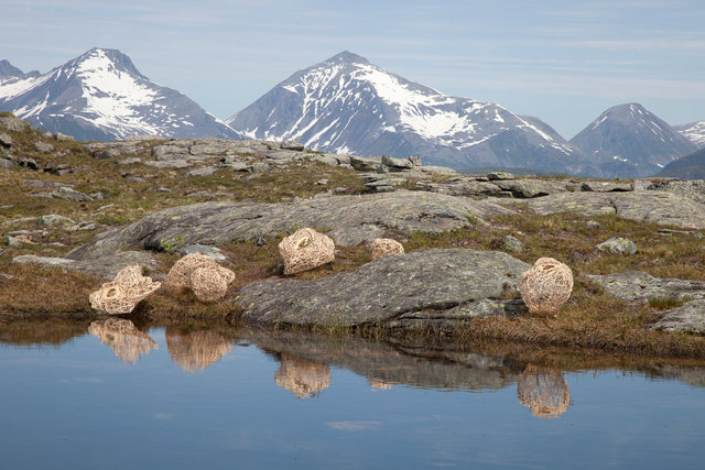 Installation woven of wood and rattan for 'Kunst i Natur* in Åndalsnes, Norway 2015