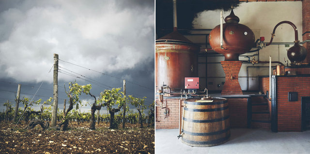 Landier - Cognac