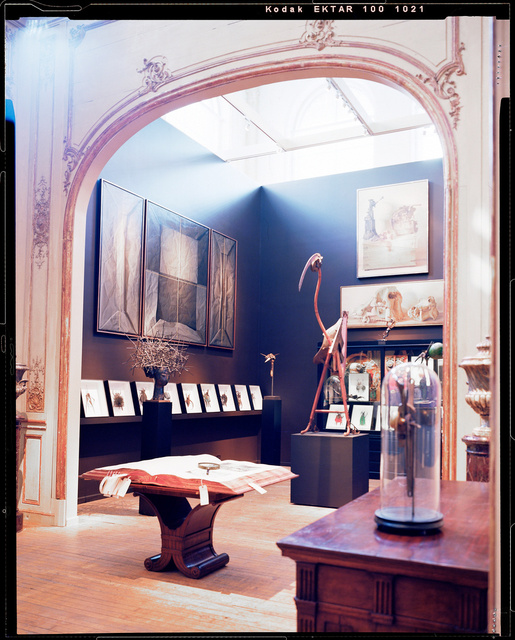 "Le Cabinet de Curiosites" by Thierry W. Despont