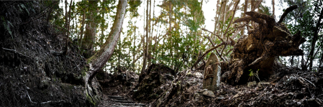 Chemin montagnard, pèlerinage des 88 Fudasho de Shikoku, Ohenro