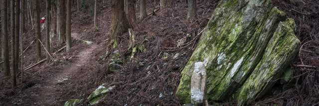 jp_16-03-17_ 507-Panorama.jpg