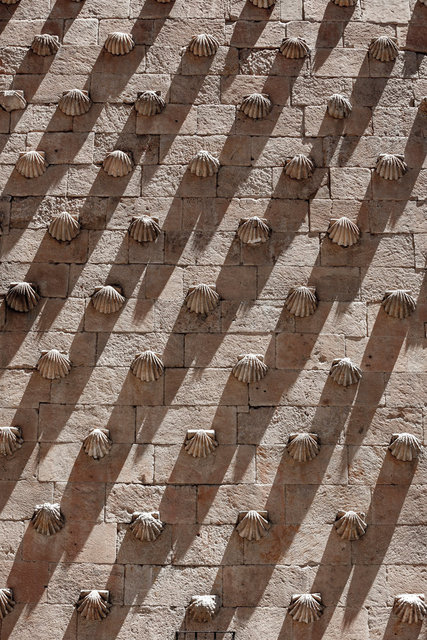 20090717-_MG_8531 2.jpg