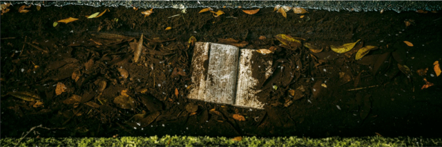Livre abandonnée dans un fossé, chemin de Shikoku