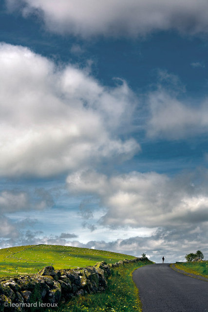 aubrac - france