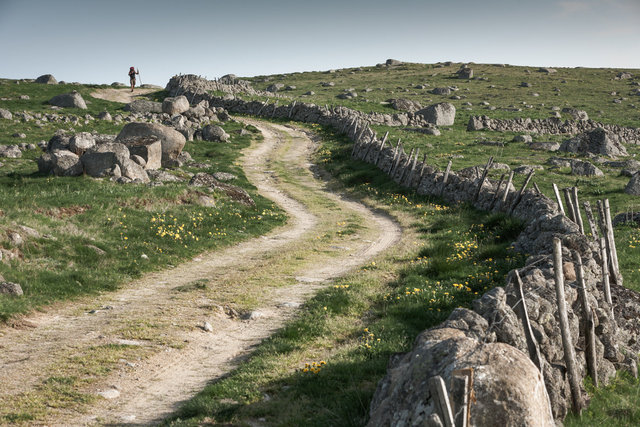 20090524-_MG_0307.jpg