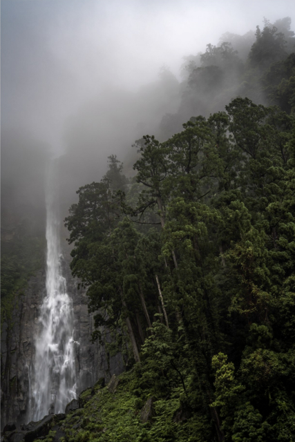 Kumano Nachi