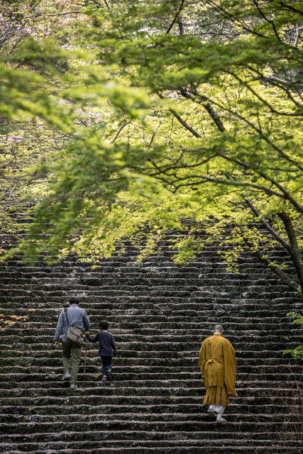 jp_17-04-15_ 385.jpg