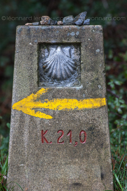 20081130-_MG_5533.jpg