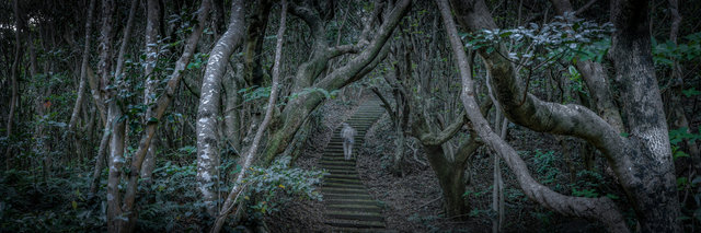jp_17-04-19_ 242-Panorama.jpg