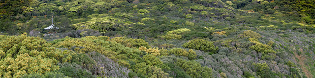 jp_17-04-20_ 100-Panorama.jpg
